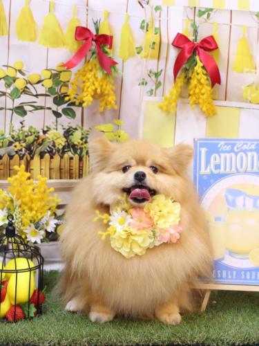 20240407梛都ちゃん